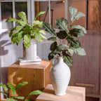 Wild Garden Greenery Stem 36"