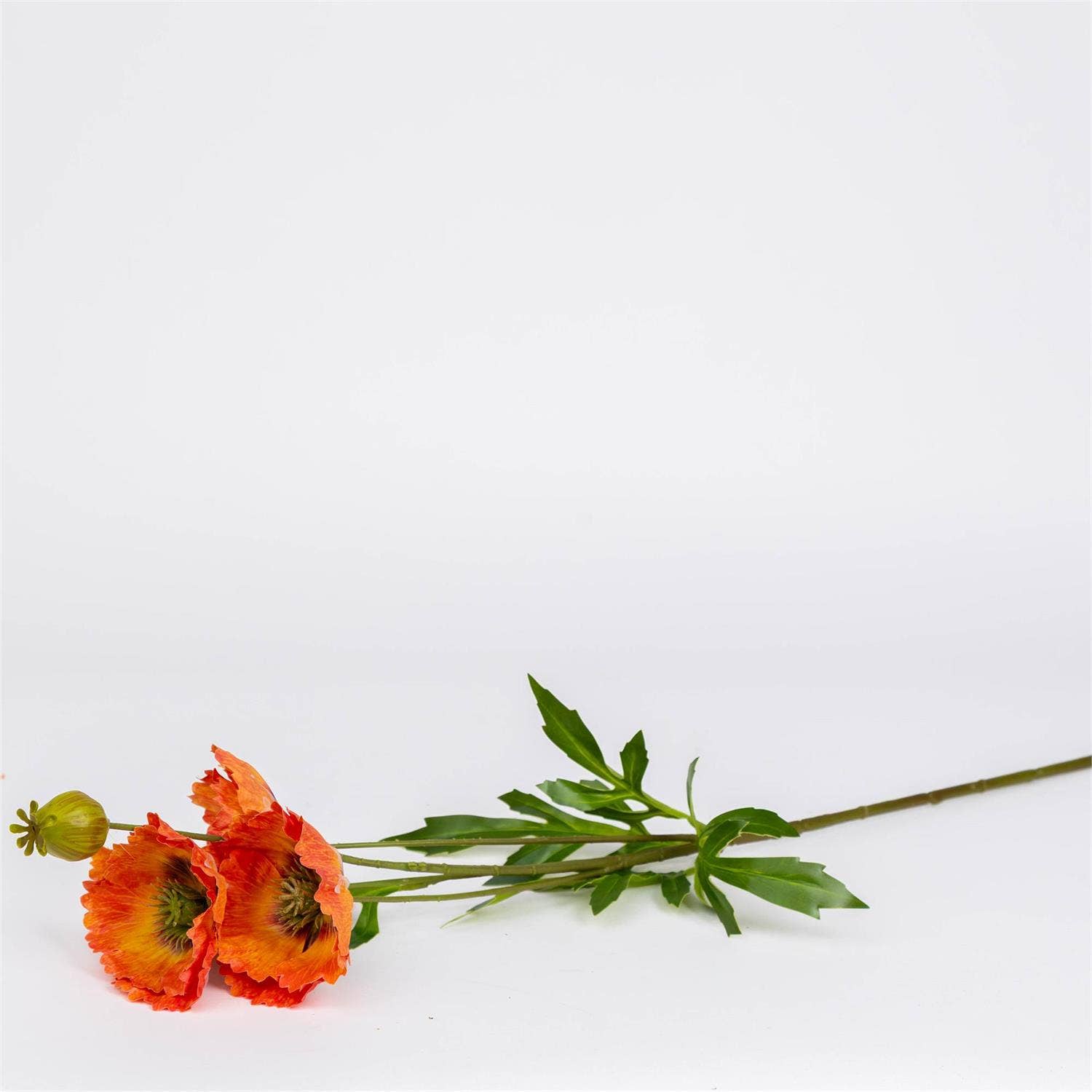 Poppy Dark Orange Stem