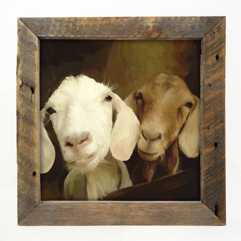 Two goat friends