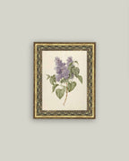 Lilac Branch Framed Antique Art