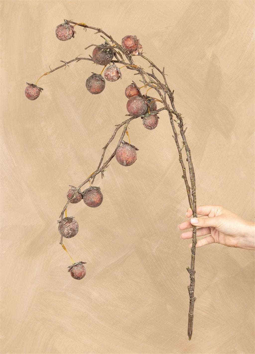 Chinaberry Burgundy