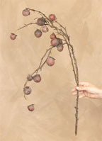 Chinaberry Burgundy