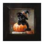 Black Kitten with Pumpkin