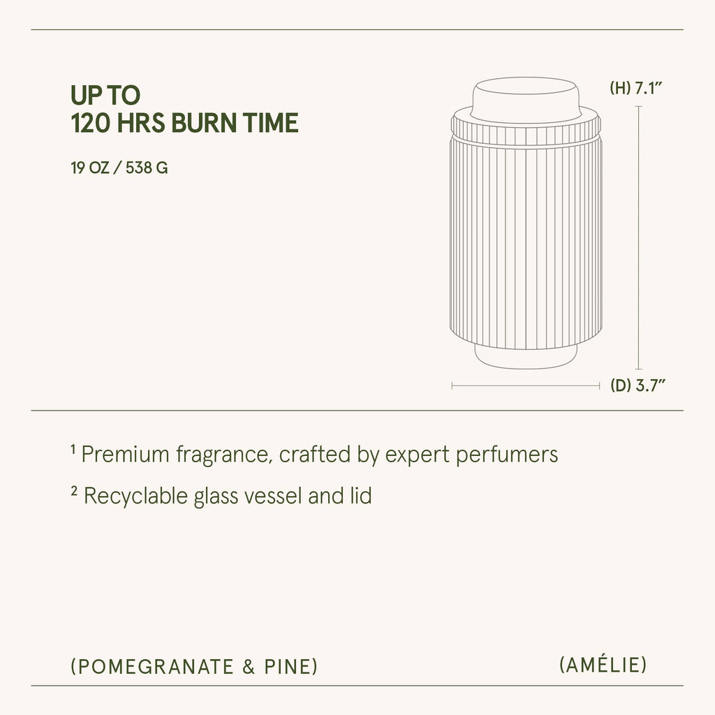 Pomegranate & Pine - 19oz