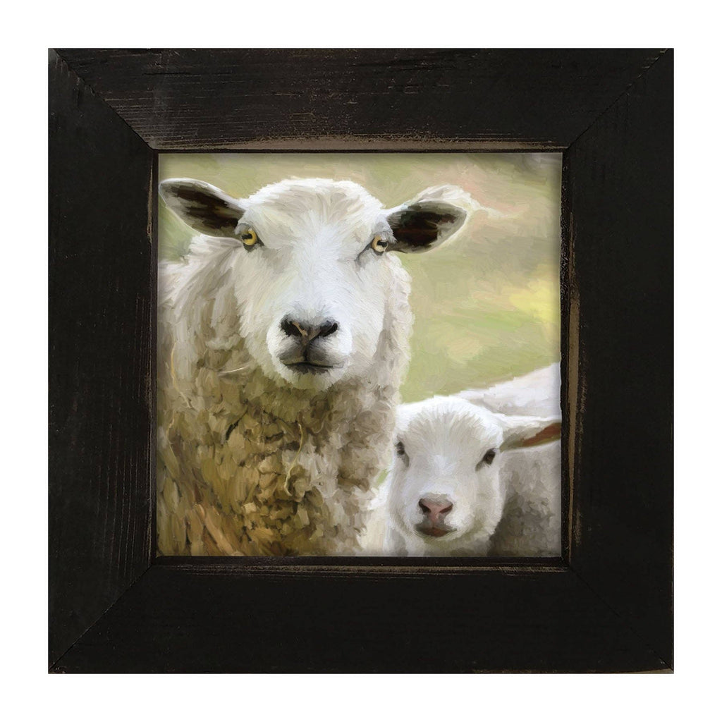 Sheep and Lamb