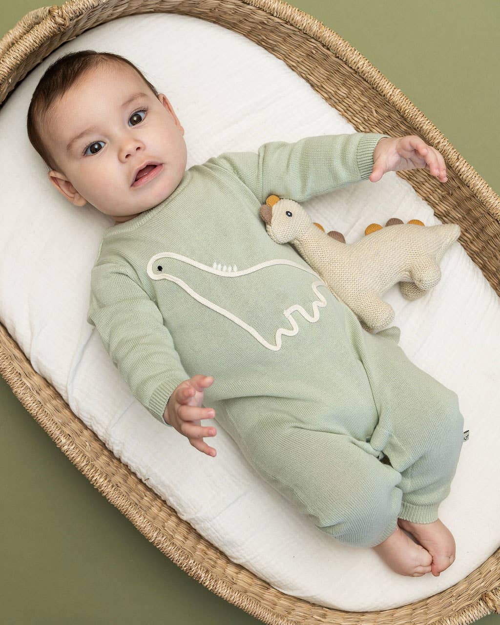 Dino Embroidered Baby Knit Jumpsuit