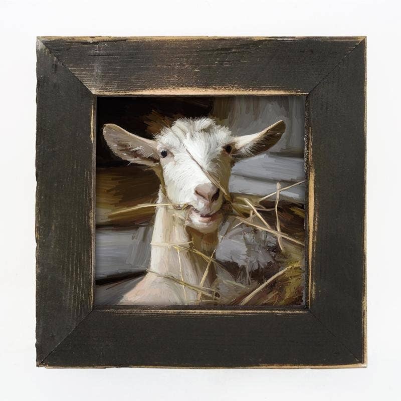 Goat Eating Grass
