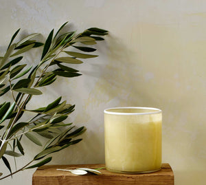 Lemon Verbena 15.5oz Candle