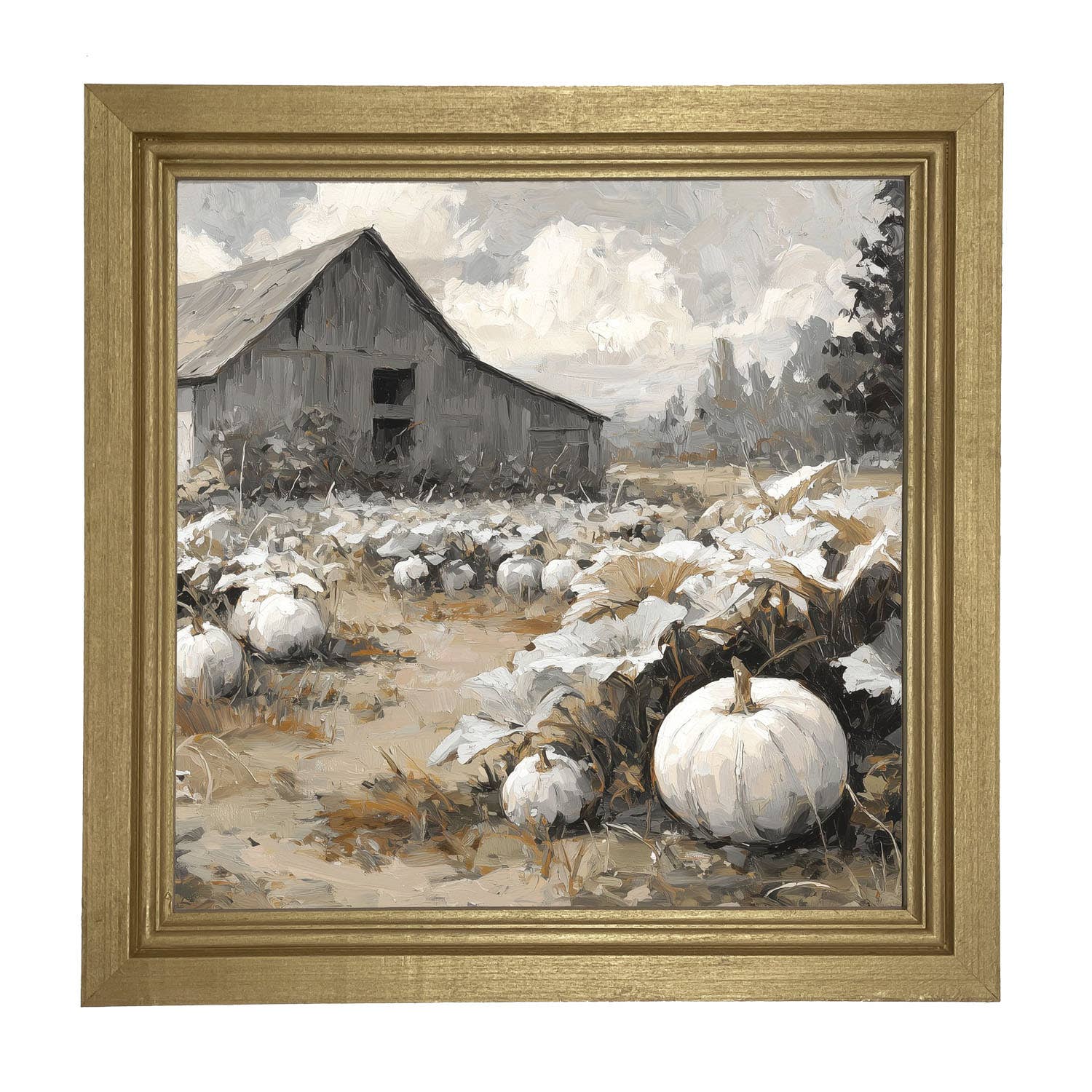 White Pumpkins in Field