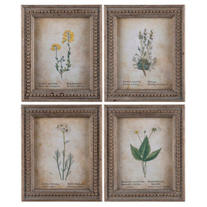 Framed Aged Floral Print