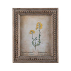 Framed Aged Floral Print