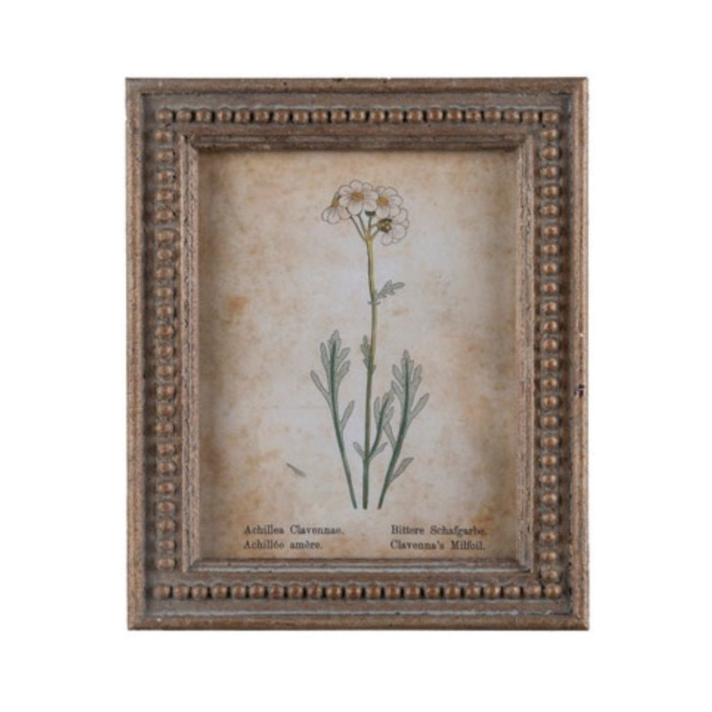 Framed Aged Floral Print