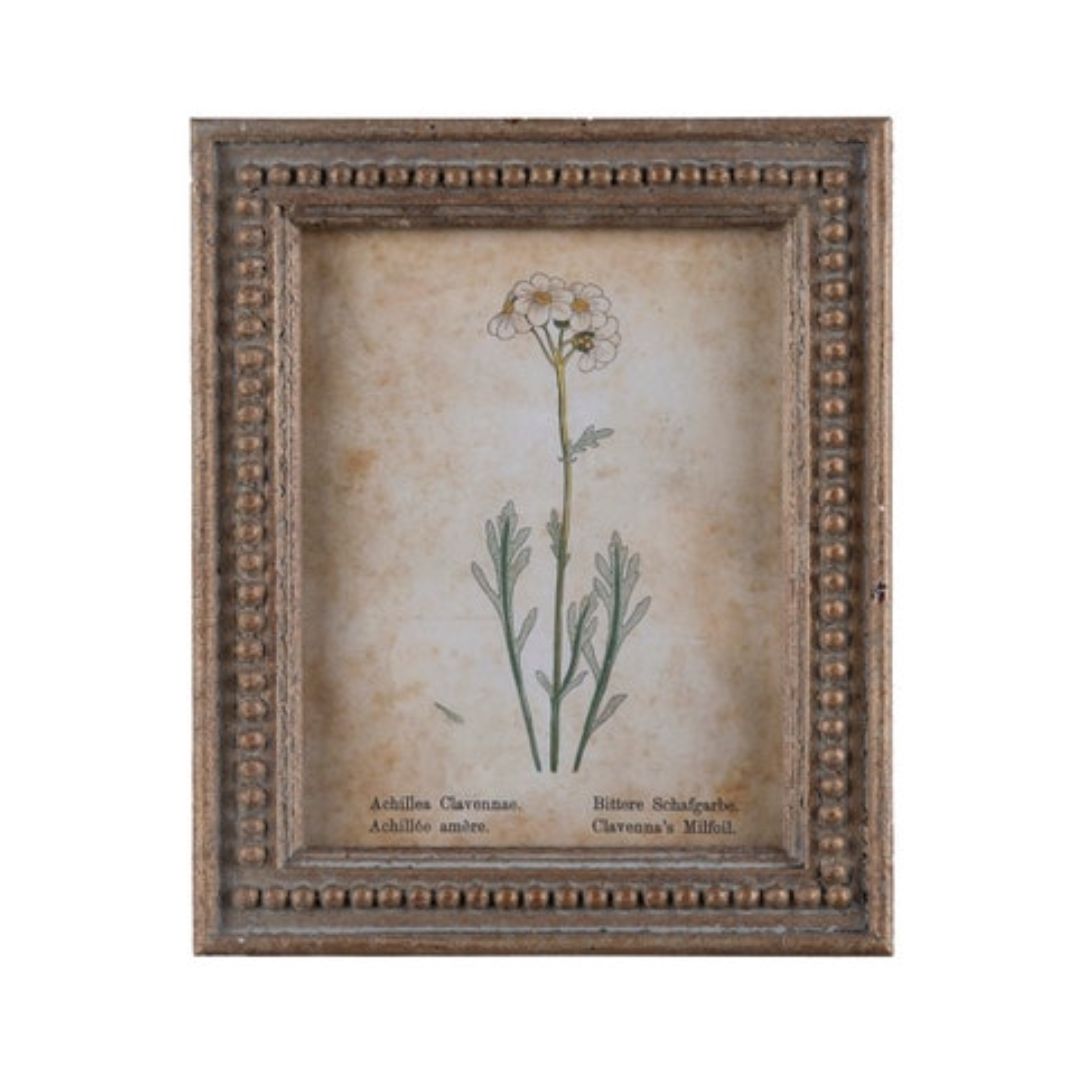 Framed Aged Floral Print