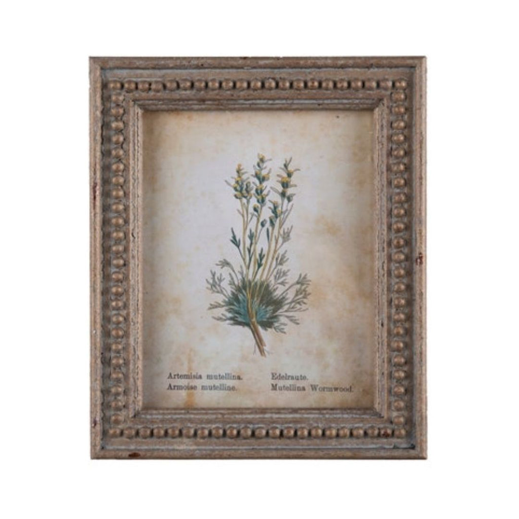 Framed Aged Floral Print