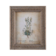 Framed Aged Floral Print