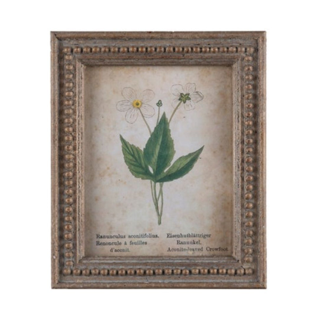 Framed Aged Floral Print