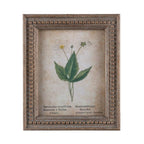Framed Aged Floral Print