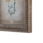 Framed Aged Floral Print