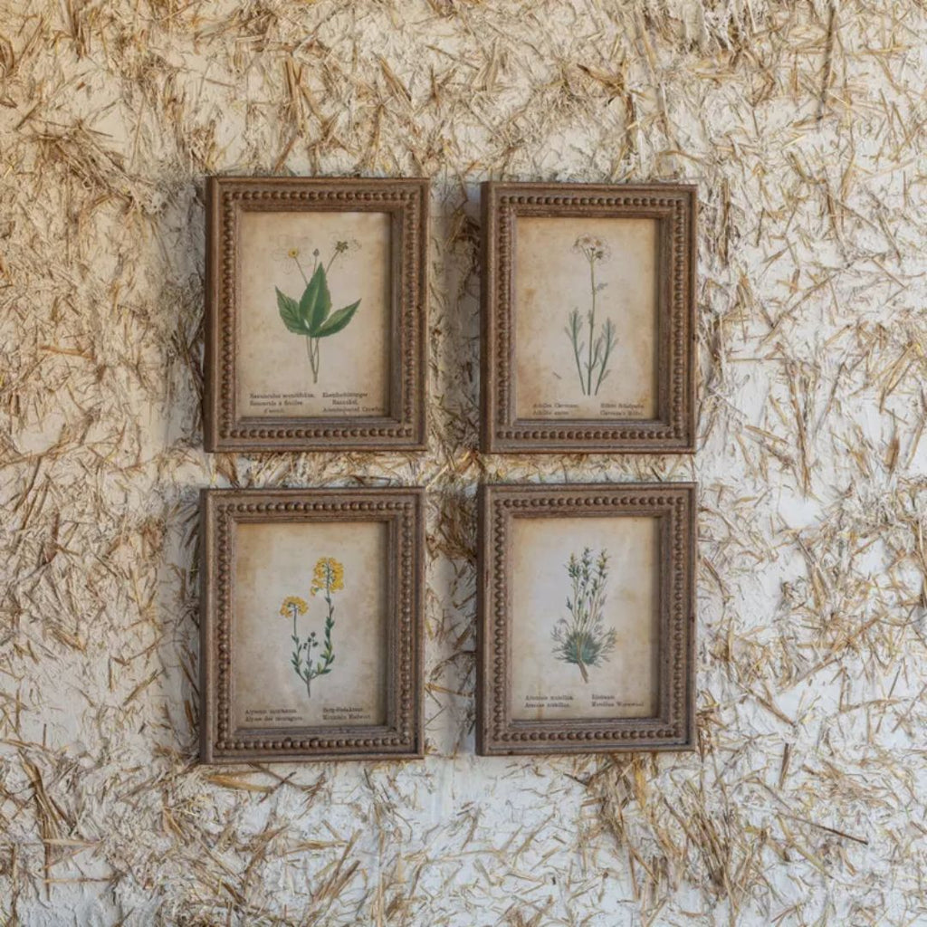 Framed Aged Floral Print
