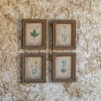 Framed Aged Floral Print