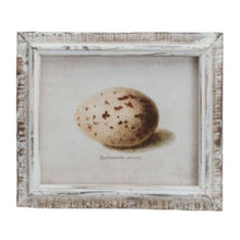 Wood Framed Glass Wall Décor With Vintage Reproduction Egg Print – Assorted Styles