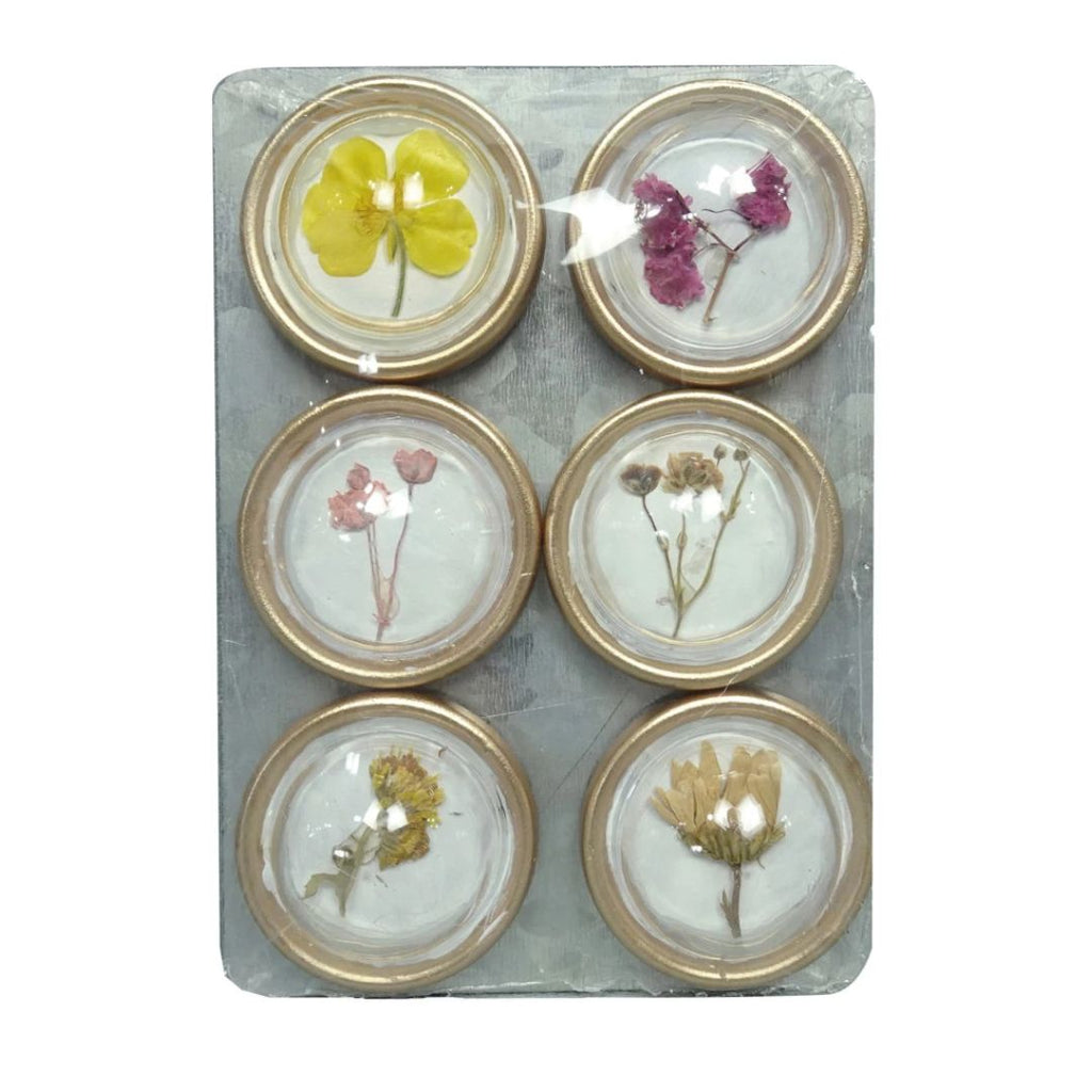 Glass Botanical Magnets - Set of 6