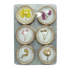 Glass Botanical Magnets - Set of 6