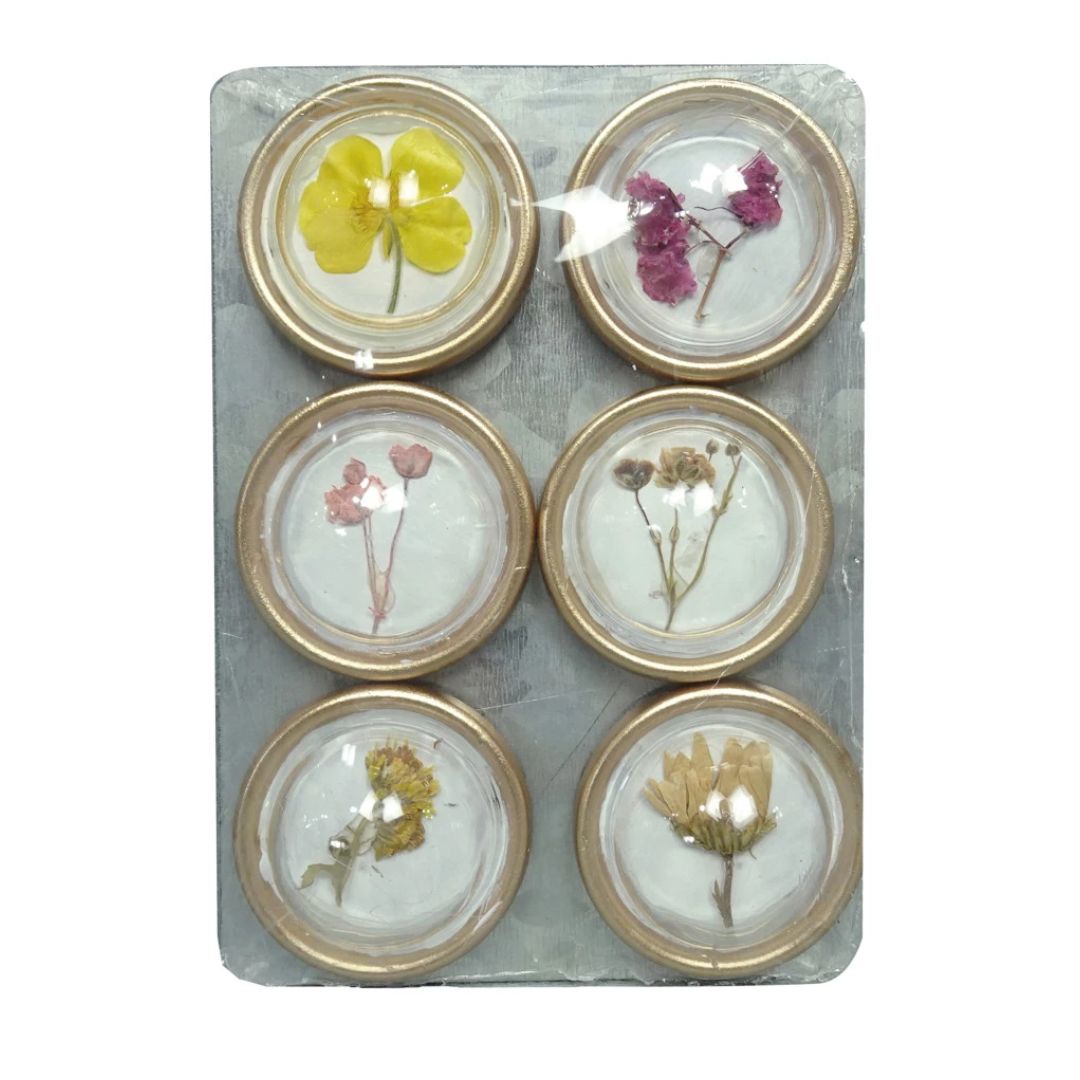 Glass Botanical Magnets - Set of 6