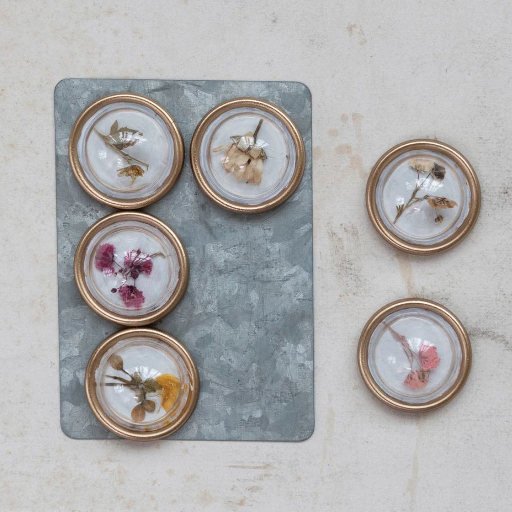 Glass Botanical Magnets - Set of 6