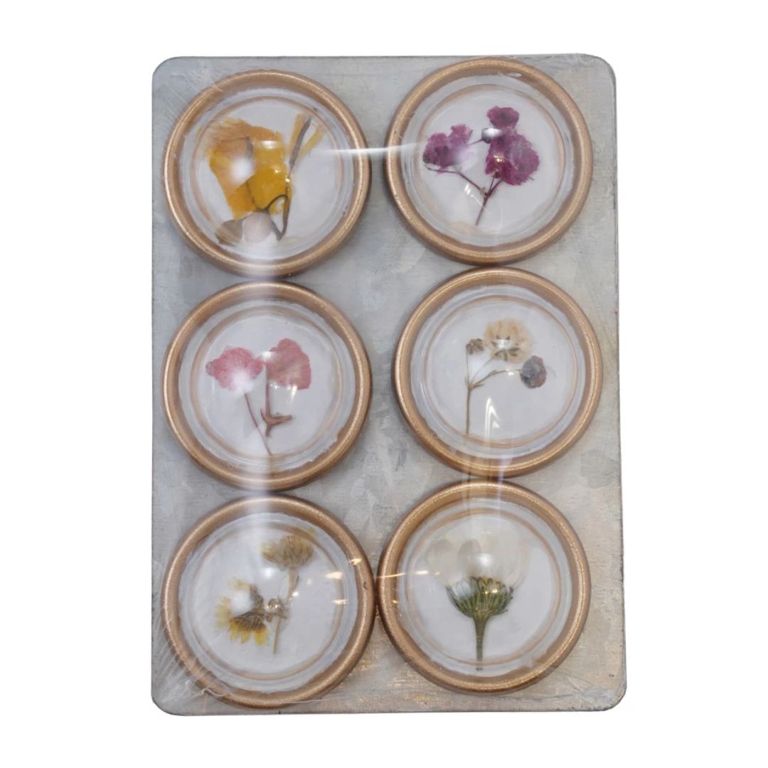 Glass Botanical Magnets - Set of 6