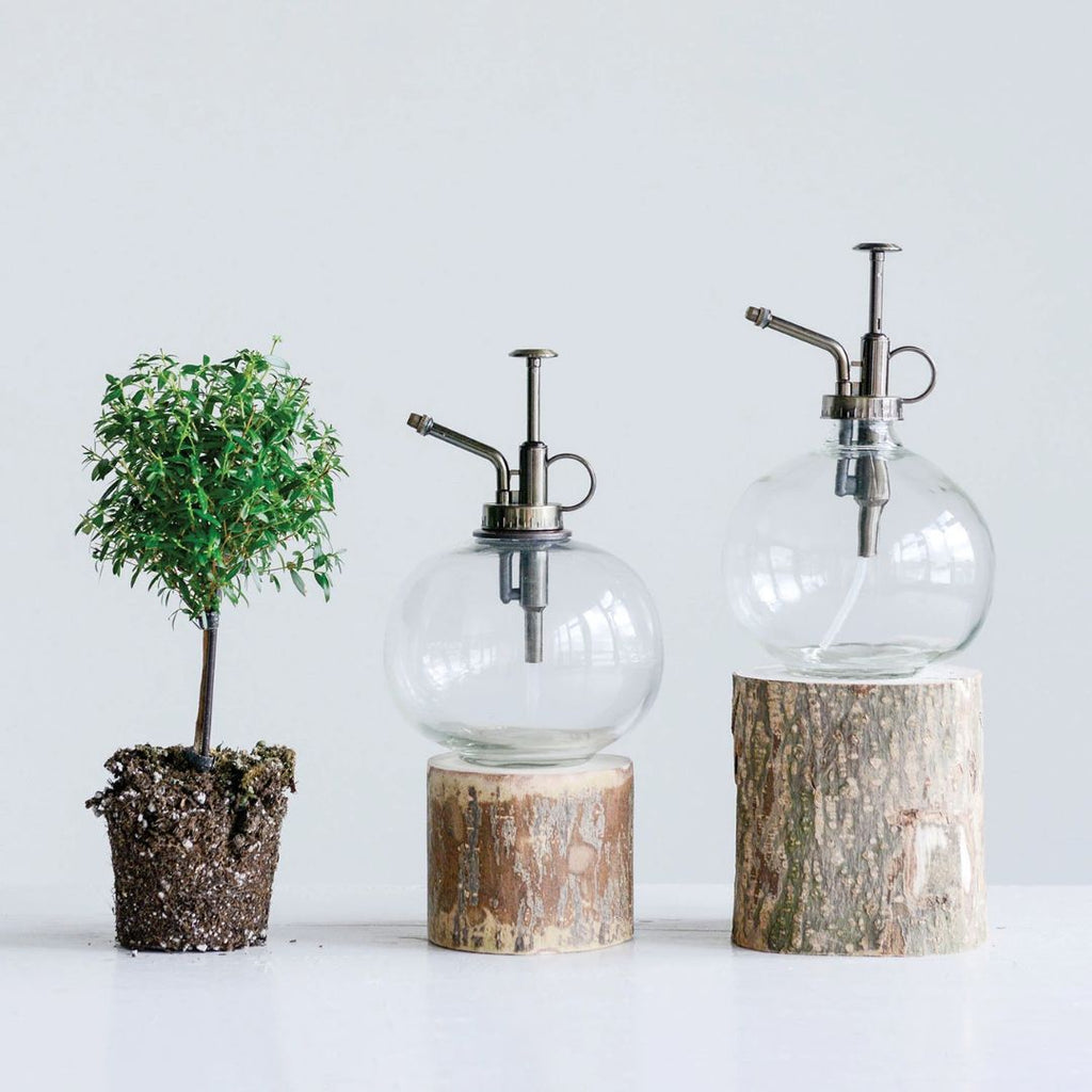 7" Glass Plant Mister