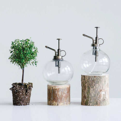 7" Glass Plant Mister