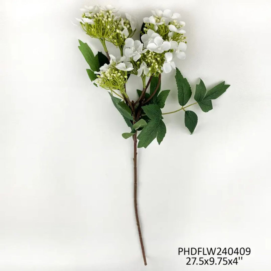 Lace Cap Hydrangea White