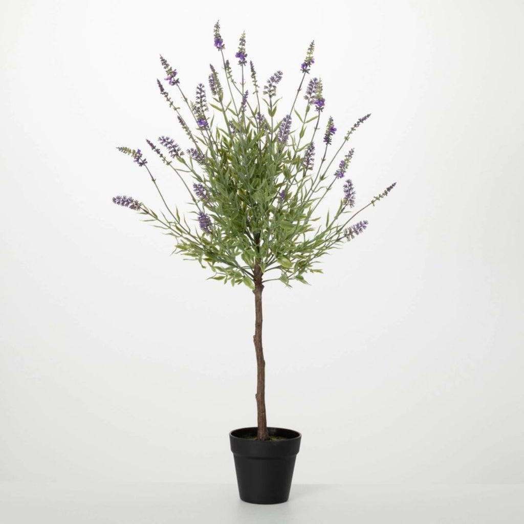 Lavender Topiary Plant