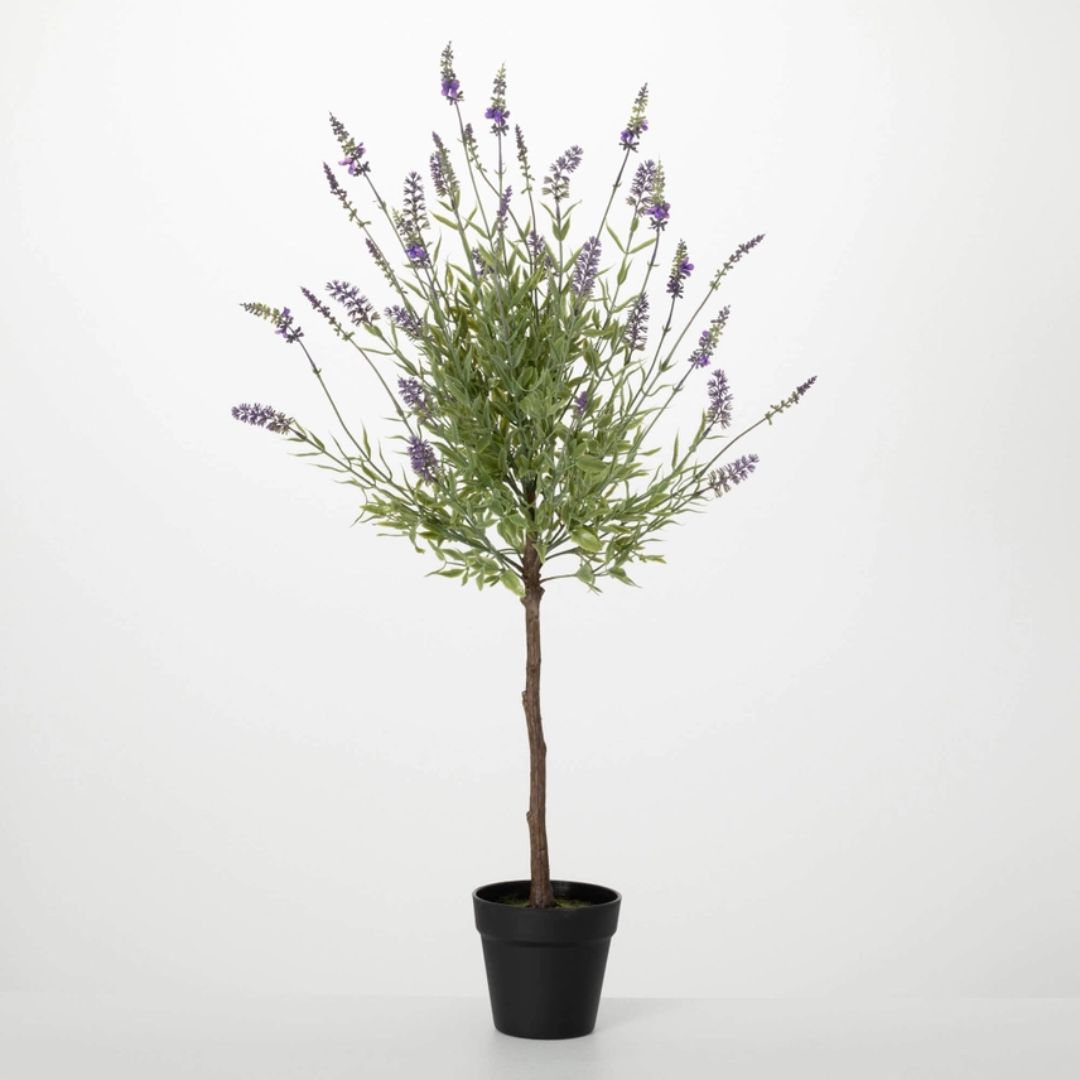 Lavender Topiary Plant