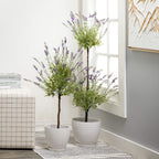 Lavender Topiary Plant