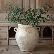 Legume Pot Container Vase
