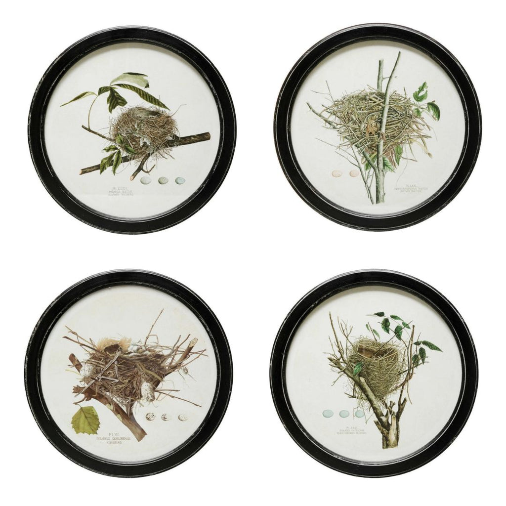 Framed Wall Decor with Nest Print - 4 Assorted Styles