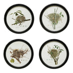 Framed Wall Decor with Nest Print - 4 Assorted Styles