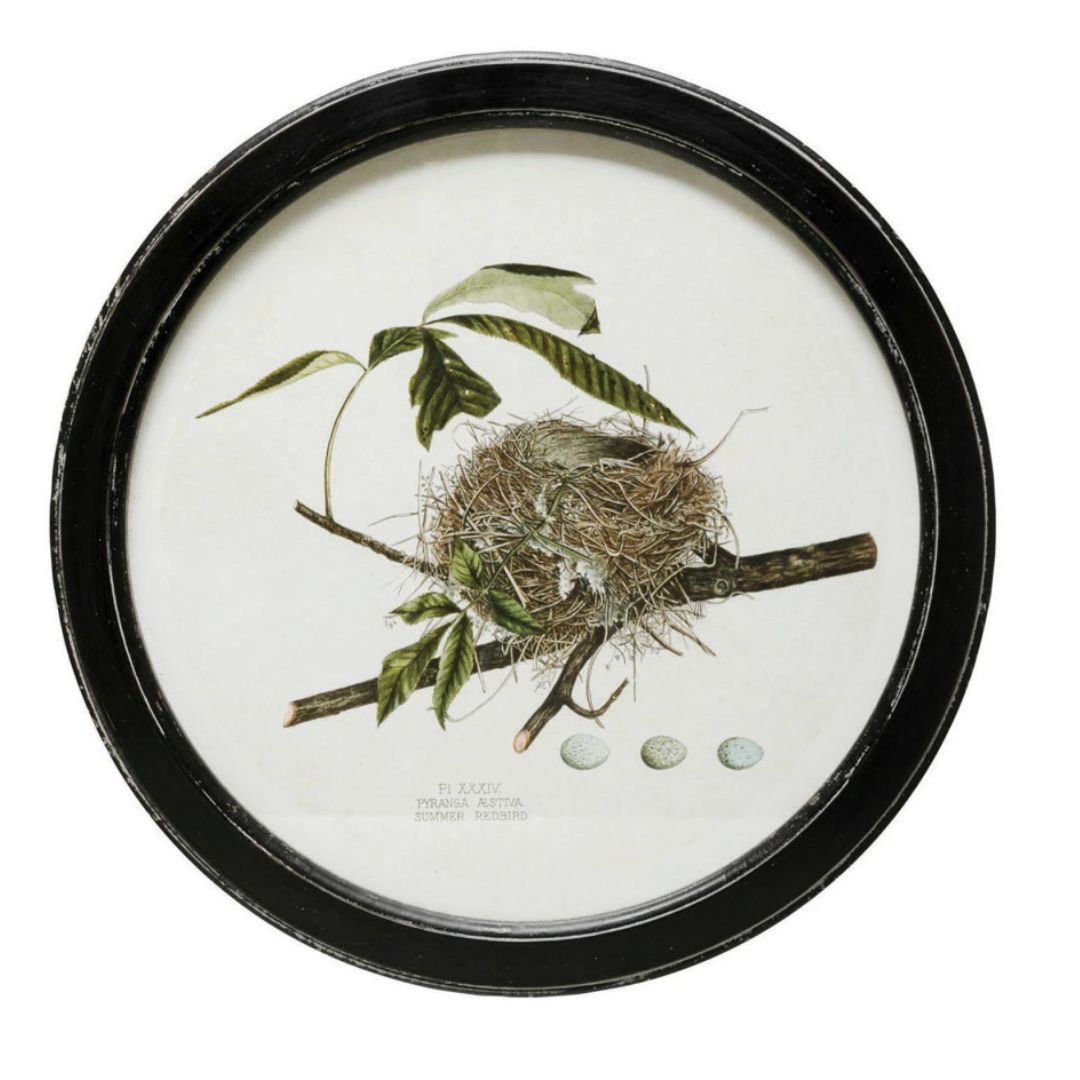 Framed Wall Decor with Nest Print - 4 Assorted Styles