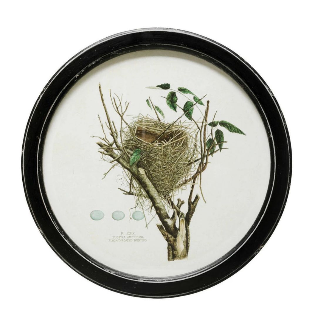 Framed Wall Decor with Nest Print - 4 Assorted Styles