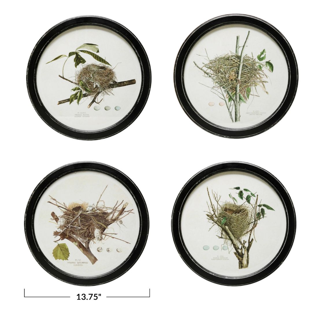 Framed Wall Decor with Nest Print - 4 Assorted Styles