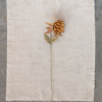 Paper Flower Pick – 36.25"H, Mustard Color, Boho Floral Accent