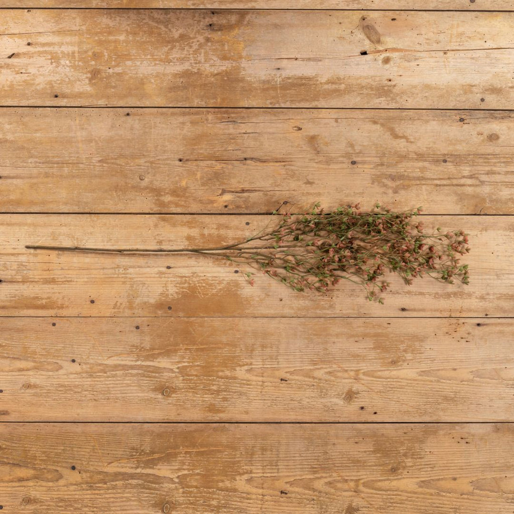 Rust & Green Helleborus Hanging Spray Decor