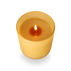 Santal Birch Refillable Candle