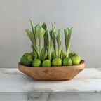 Handcrafted Harvest Bowl - Small