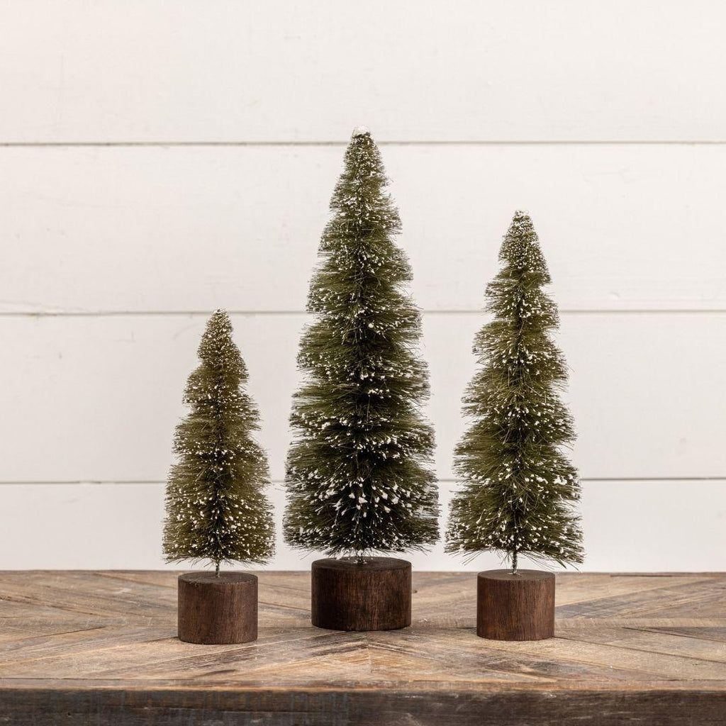 snowy-green-spiral-bottlebrush