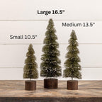 16.5" Snowy Green Spiral Bottlebrush - Large