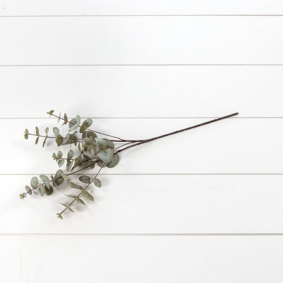 Vintage Spiral Eucalyptus Stem - Faux Plant Decor