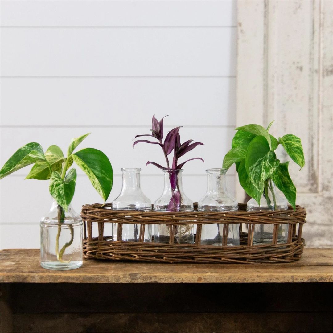 wicker basket for indoor plants Wicker Basket with Glass Vases – Rustic 14" Tabletop Decor – Cozy Cottage